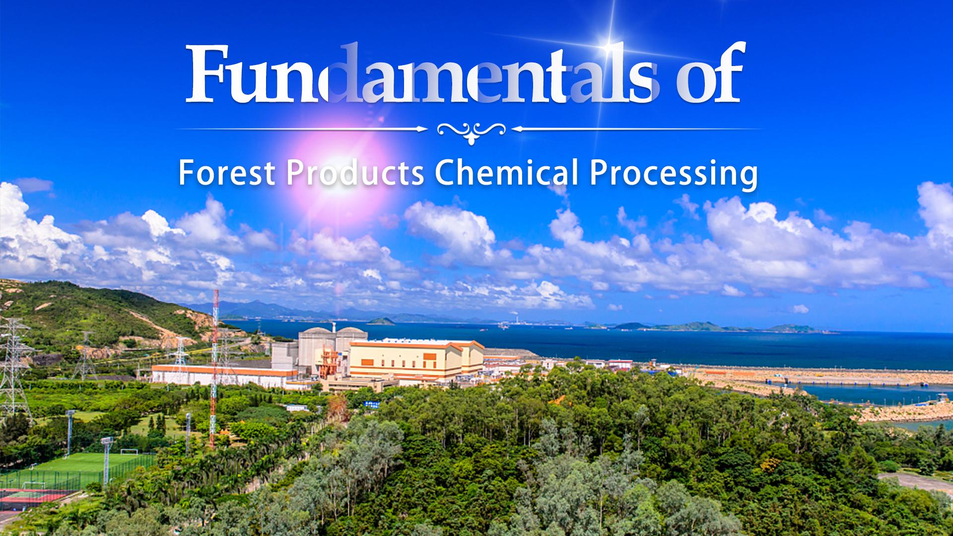 Fundamentals of Forest Products Chemical Processing 林产化工专业英语答案2023