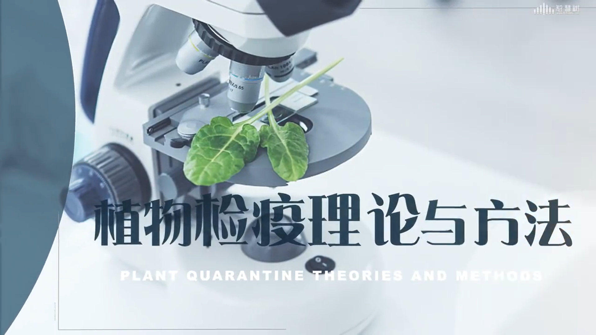 植物检疫理论与方法期末考试答案题库2024秋