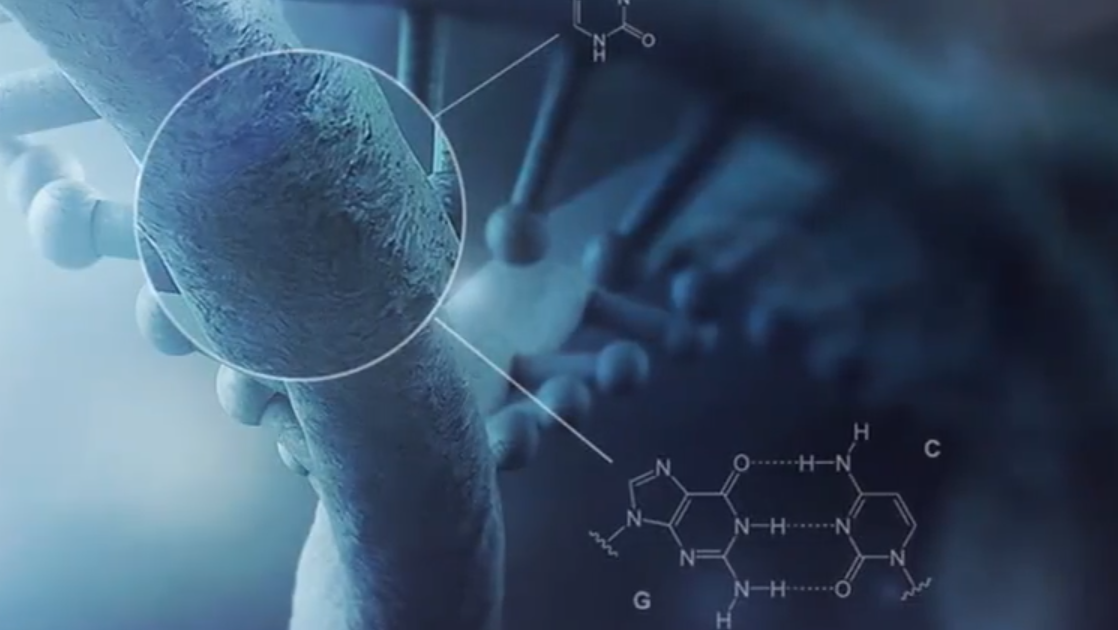 生物信息学（上海海洋大学）章节测试课后答案2024春