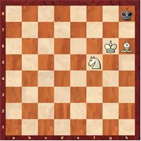 走进国际象棋殿堂（版本二） 智慧树答案2024版100分完整版第8张