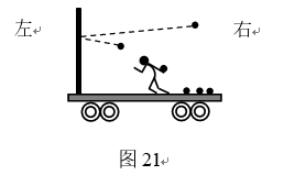 46t t.png