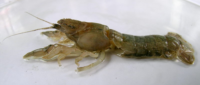 2020智慧树知到大学生心理健康教育(江汉大学版)最新微信公众号答案