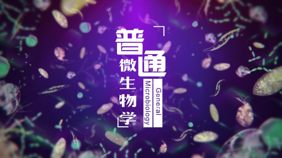 普通微生物学答案2023