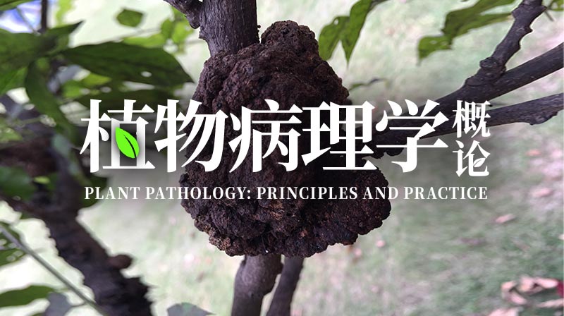 植物病理学概论答案2023