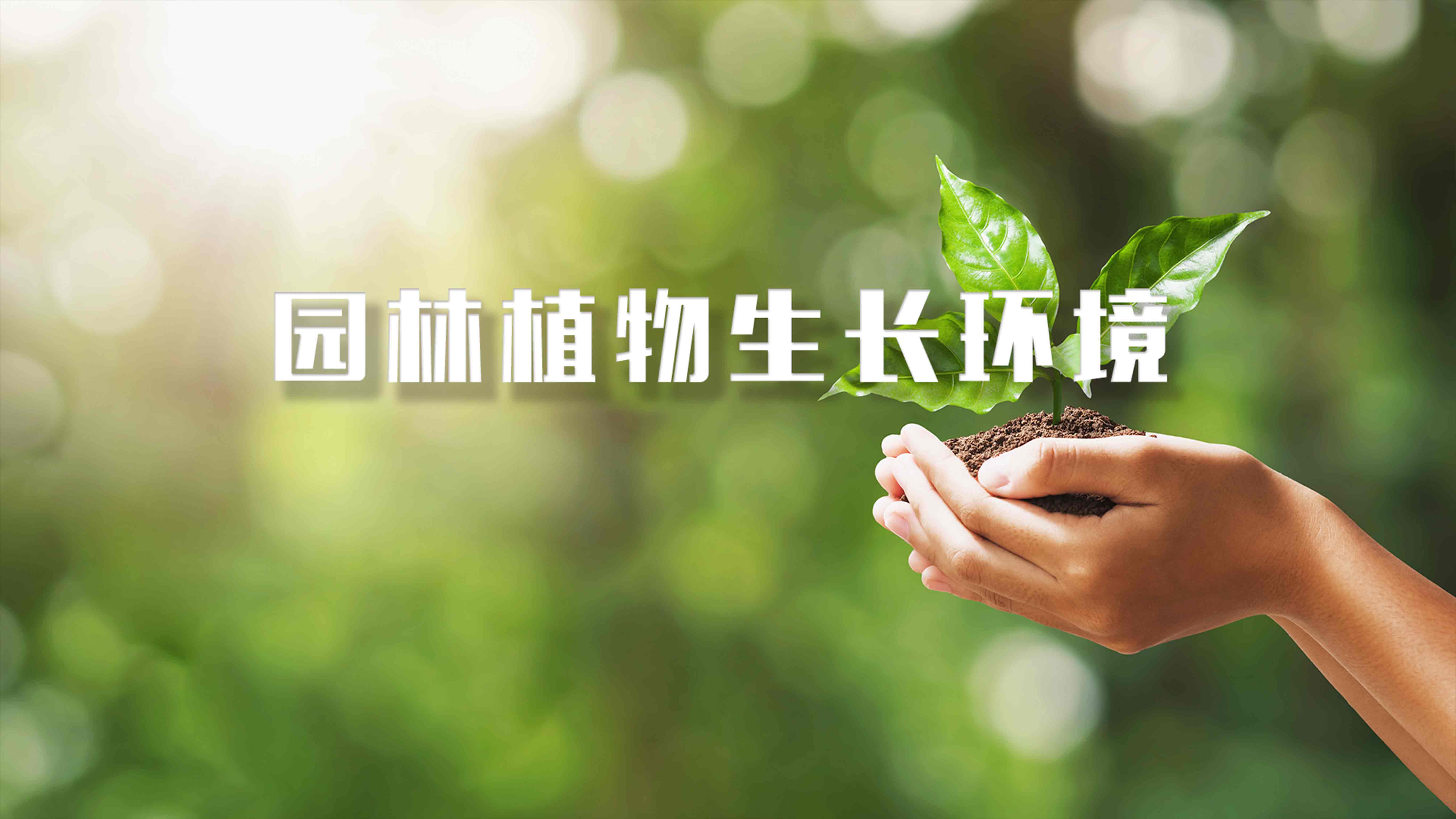 园林植物生长环境期末答案和章节题库2024春