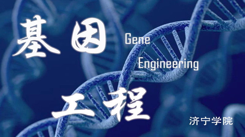 基因工程章节测试课后答案2024秋