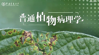 普通植物病理学期末答案和章节题库2024春