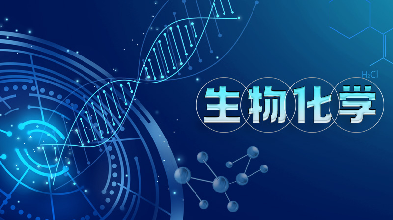 生物化学期末答案和章节题库2024春