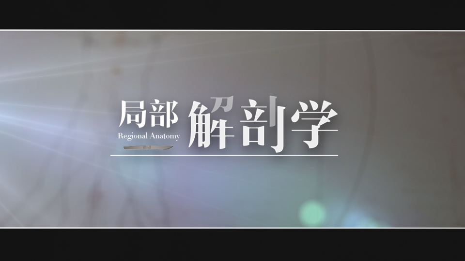 局部解剖学期末考试答案题库2024秋