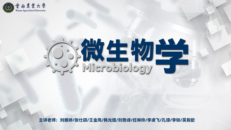 微生物学（云南农业大学）期末考试答案题库2024秋