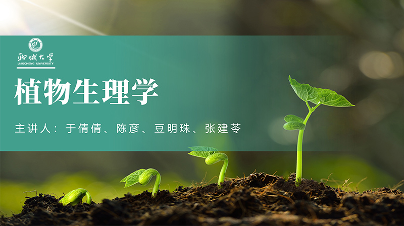 植物生理学期末答案和章节题库2024春