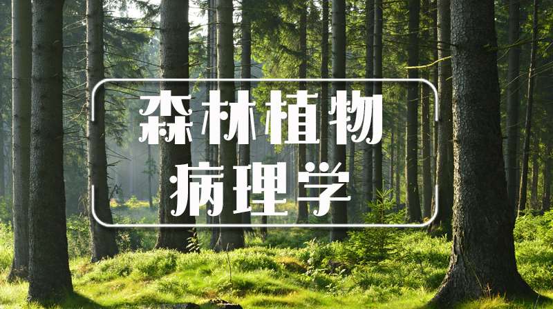 森林植物病理学章节测试课后答案2024秋