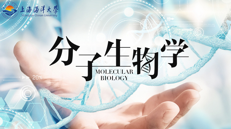 分子生物学答案2023