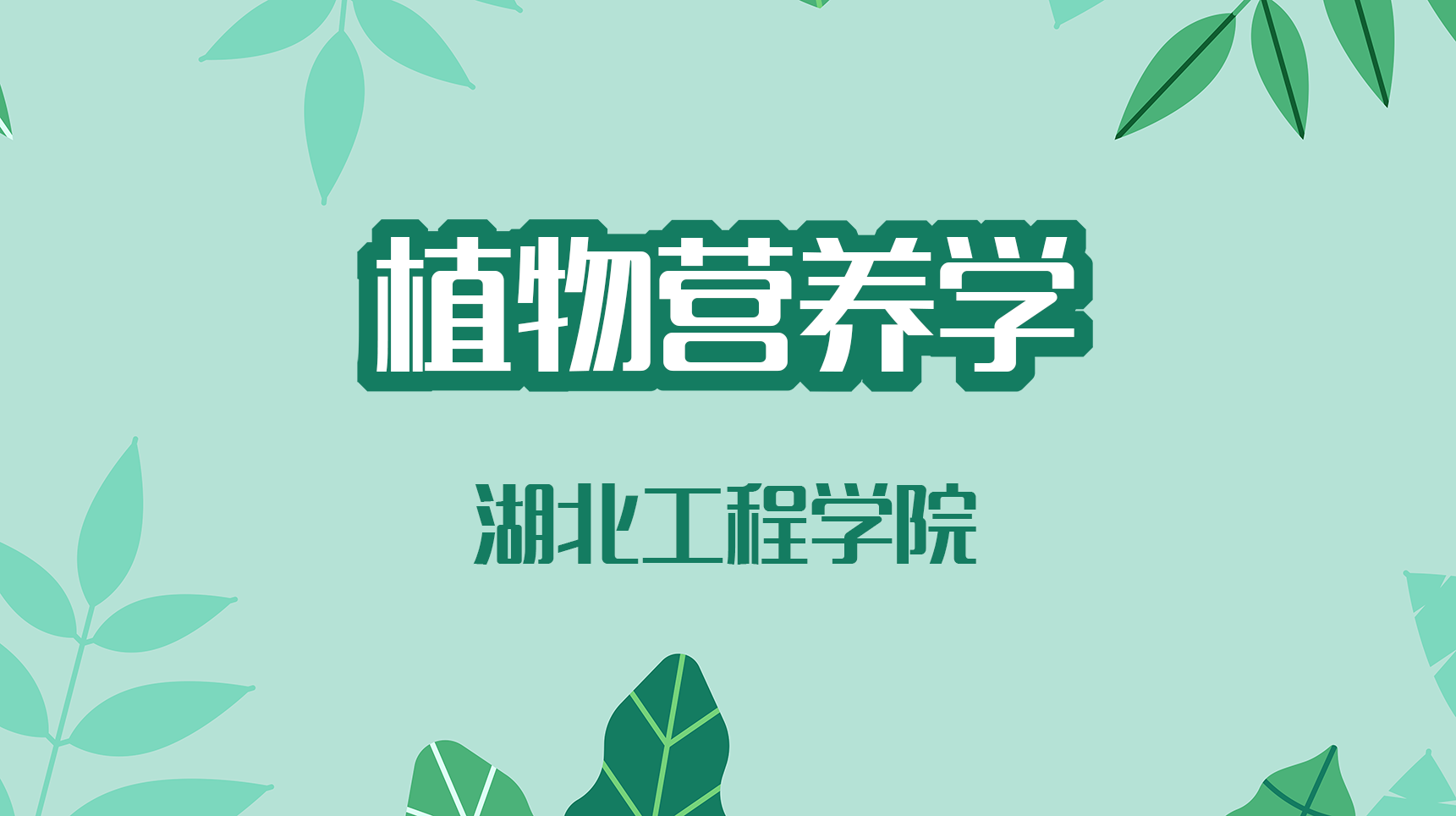 植物营养学答案2023