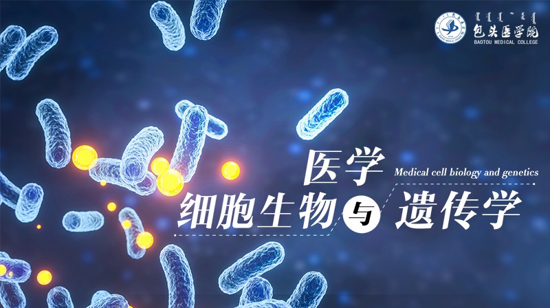 医学细胞生物与遗传学答案2023秋