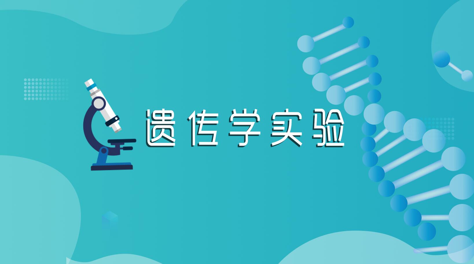 遗传学实验章节测试课后答案2024秋