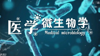 医学微生物学章节测试课后答案2024秋