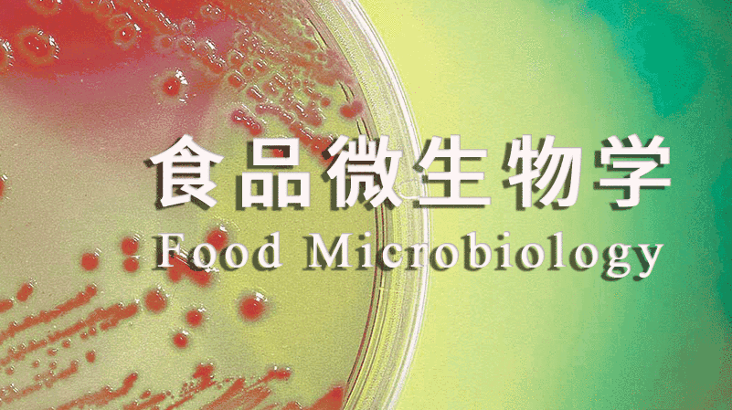 食品微生物学章节测试课后答案2024秋