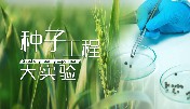 种子工程大实验章节测试课后答案2024春