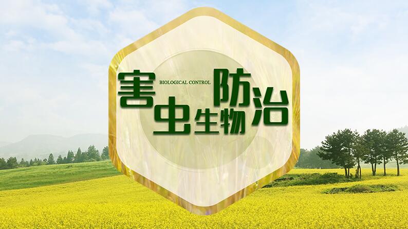 害虫生物防治期末考试答案题库2024秋