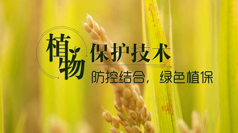 植物保护技术章节测试课后答案2024春