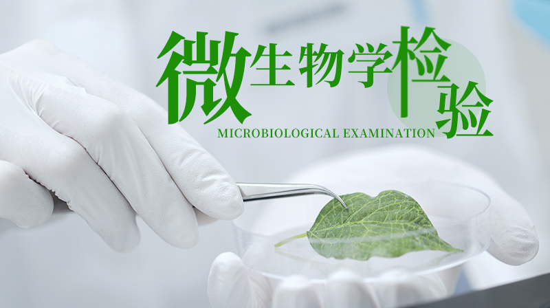 微生物学检验（吉林联盟）期末考试答案题库2024秋