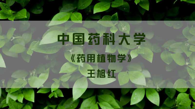 药用植物学（中国药科大学）章节测试课后答案2024春