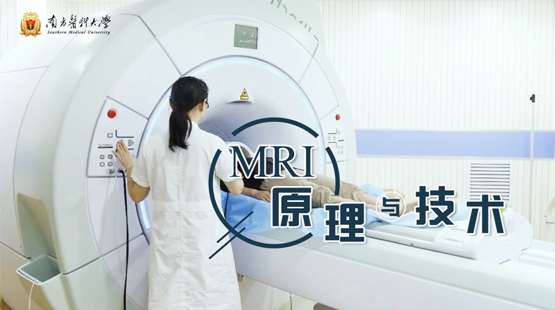 MRI原理与技术期末考试答案题库2024秋