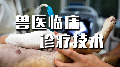 兽医临床诊疗技术—智慧树网