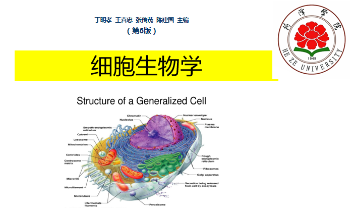 细胞生物学章节测试课后答案2024春