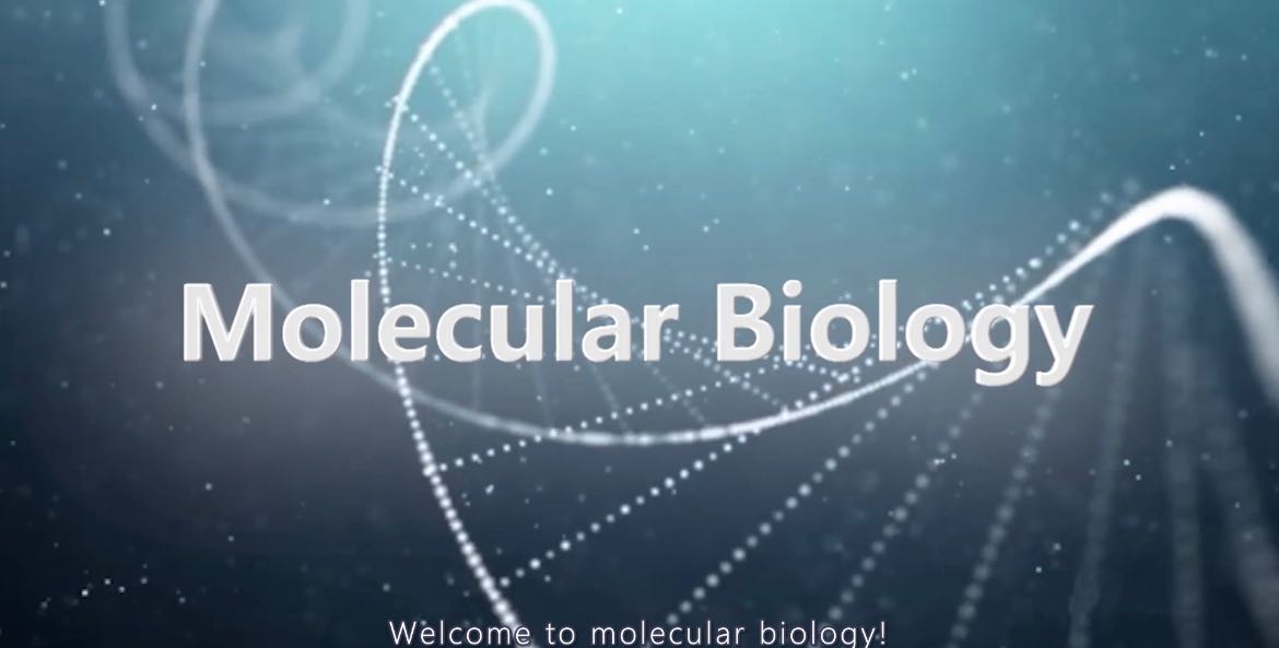 分子生物学（Molecular Biology)章节测试课后答案2024秋