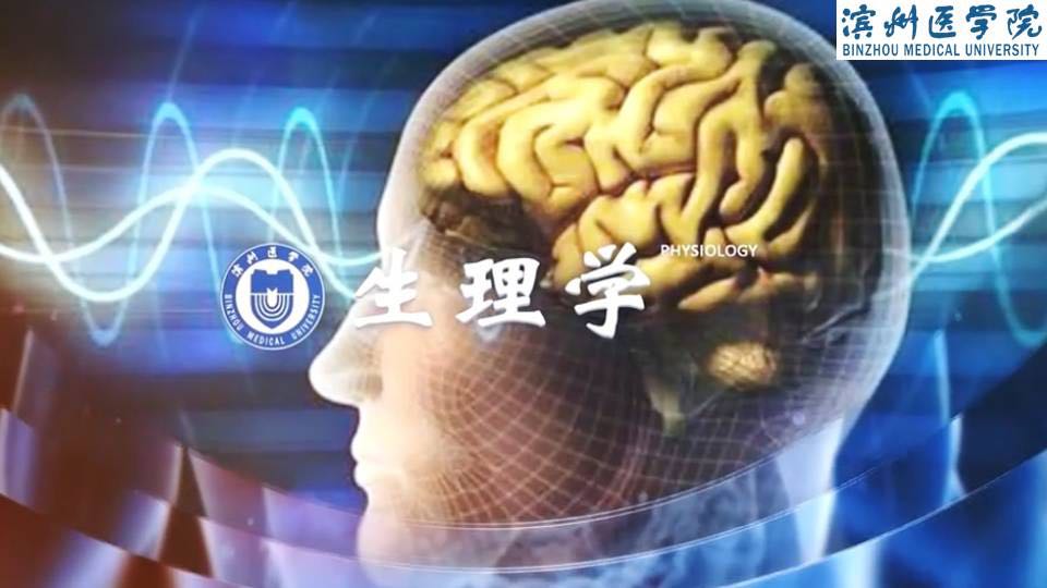 生理学章节测试课后答案2024春