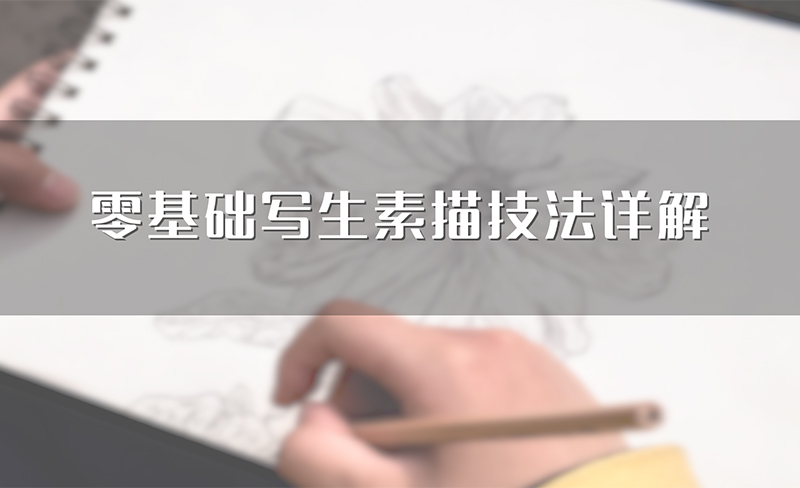 零基础写生素描技法详解答案2023