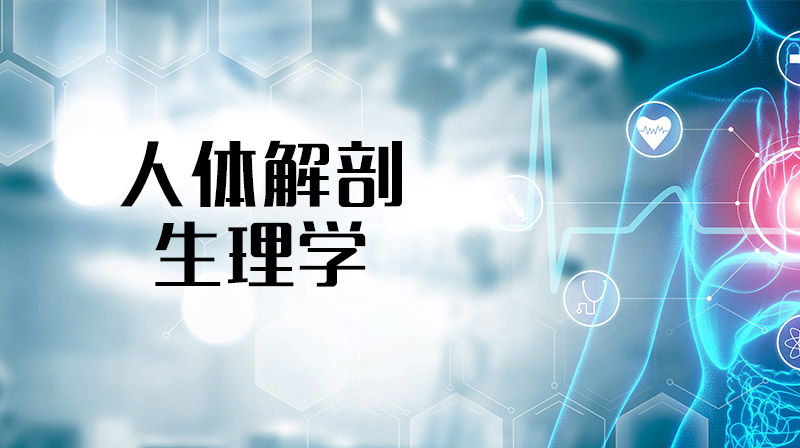 人体解剖生理学章节测试课后答案2024春