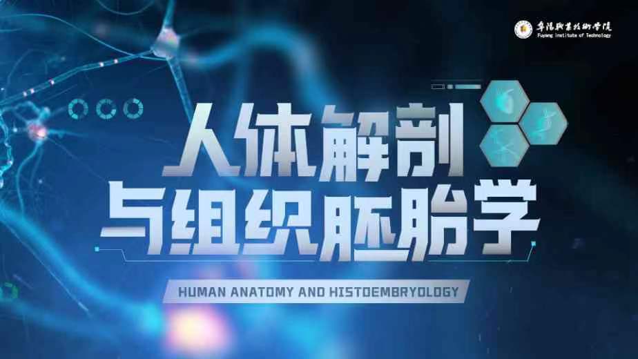 人体解剖与组织胚胎学期末答案和章节题库2024春