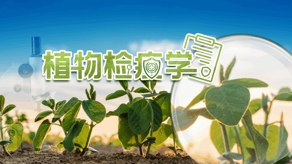 植物检疫学章节测试课后答案2024春