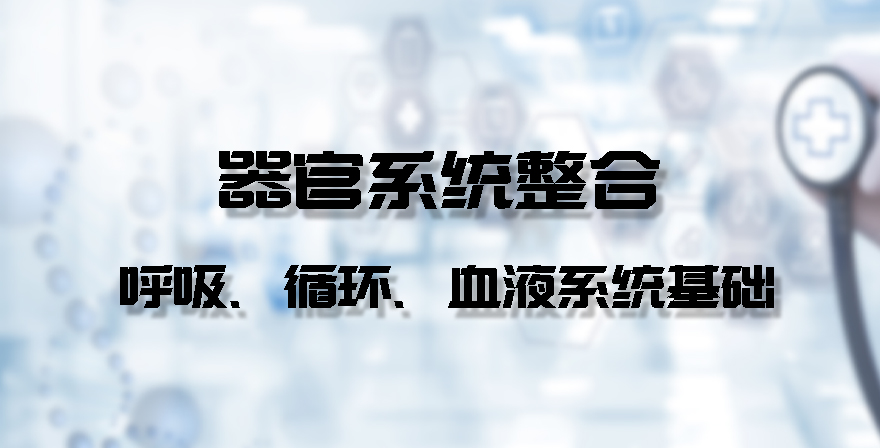 器官系统整合 呼吸、循环、血液系统基础章节测试课后答案2024秋