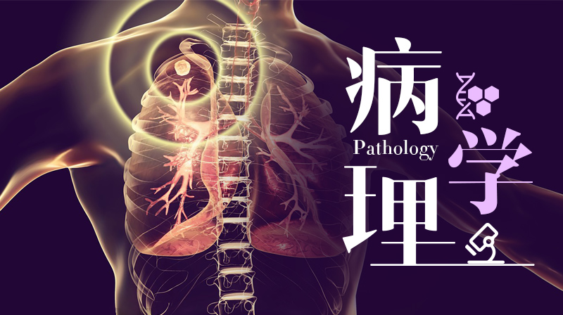 病理学章节测试课后答案2024秋