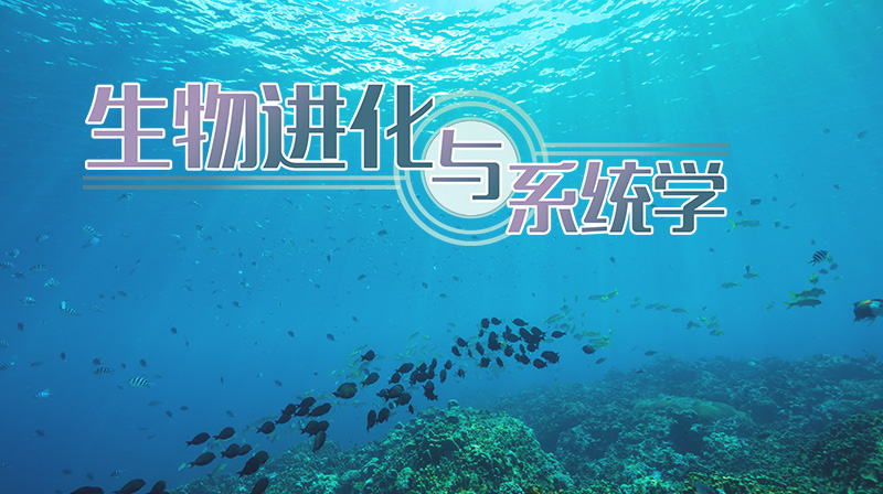 生物进化与系统学章节测试课后答案2024春