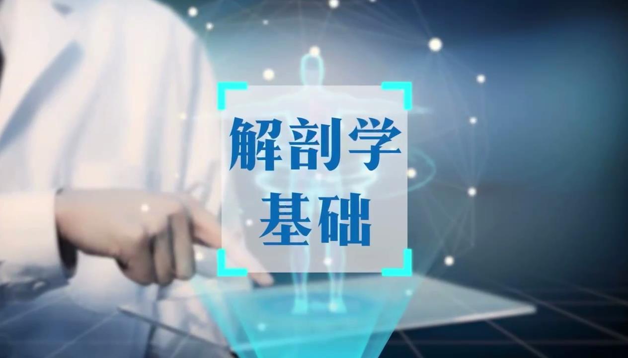 解剖学基础章节测试课后答案2024秋