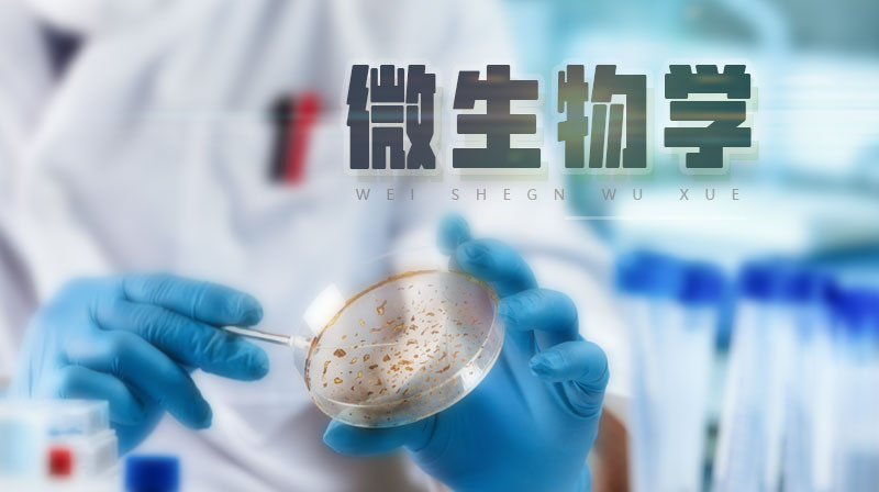 微生物学章节测试课后答案2024春