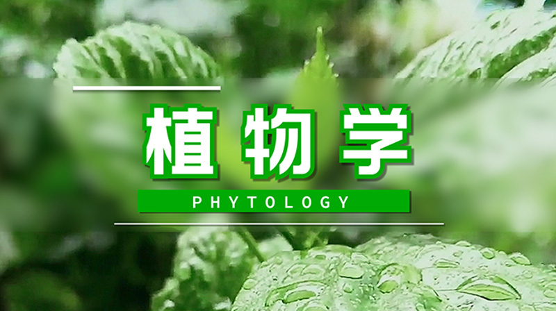 植物学章节测试课后答案2024春