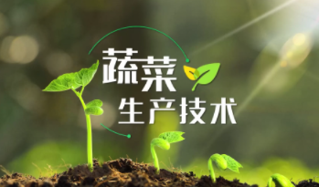 蔬菜生产技术章节测试课后答案2024春