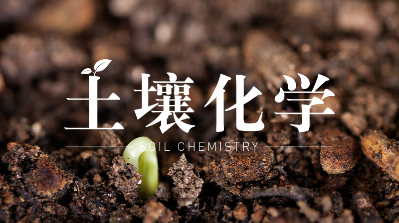 土壤化学（视频课）期末答案和章节题库2024春