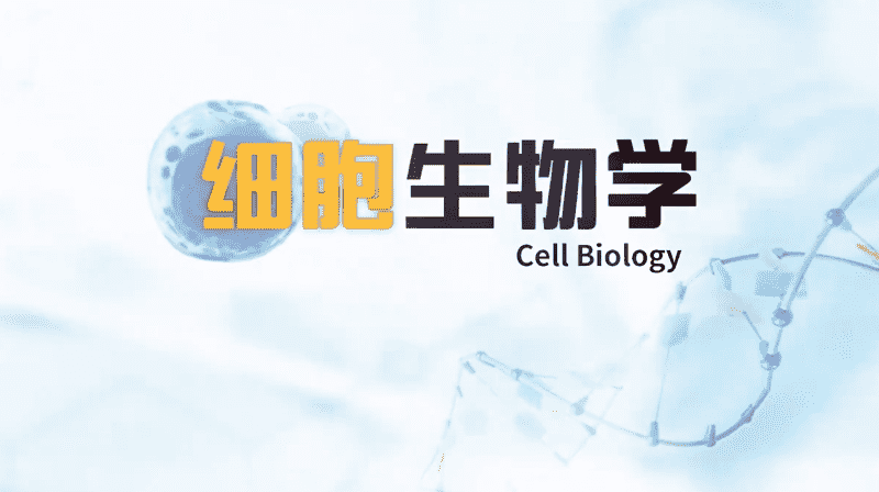 细胞生物学章节测试课后答案2024秋