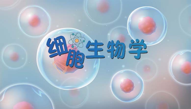 细胞生物学章节测试课后答案2024秋