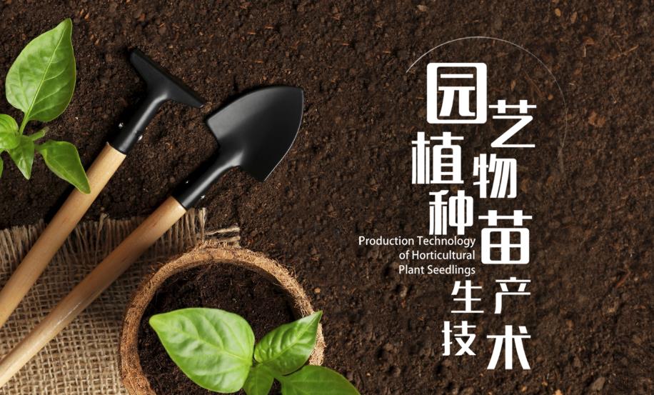 园艺植物种苗生产技术答案2023秋