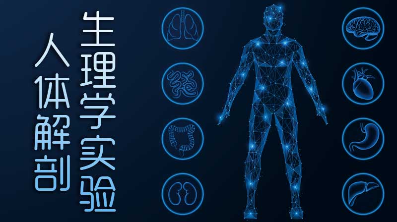 人体解剖生理学实验章节测试课后答案2024春