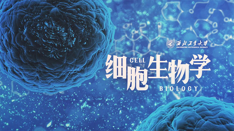 细胞生物学-英（视频课）章节测试课后答案2024春