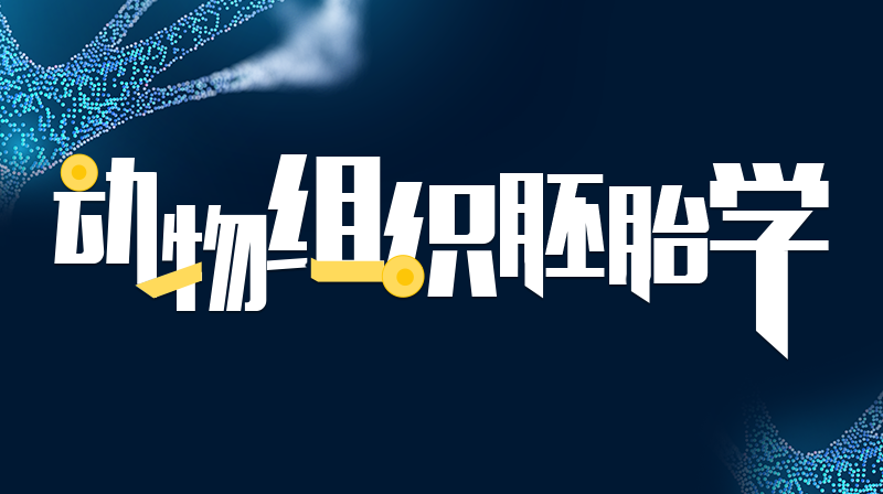 动物组织胚胎学章节测试课后答案2024春